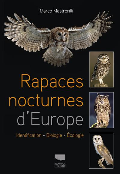 Guide de Fabrication Pour Bougies Moulées - Cosy Owl France