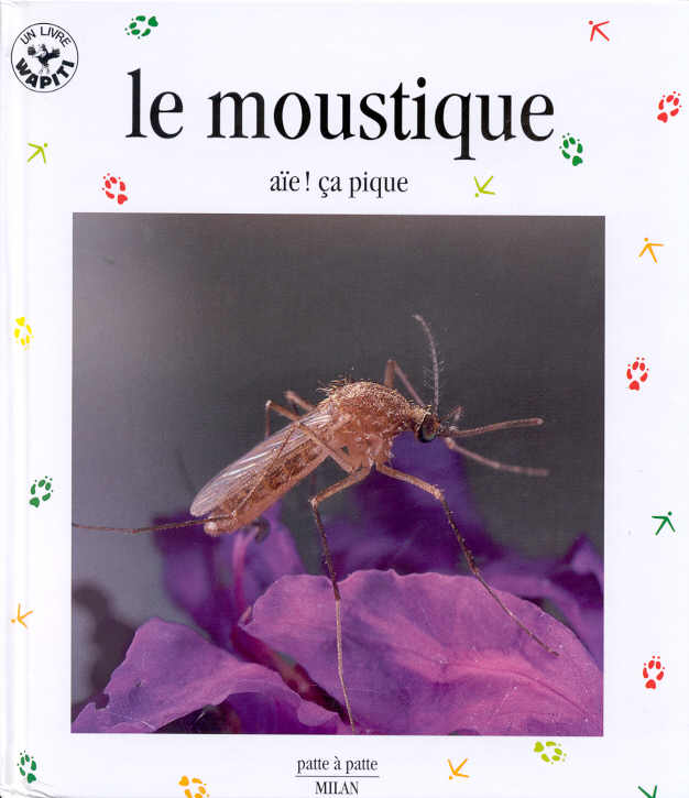 media/pim/TITELIVE/38_9782745902887_1_75.jpg