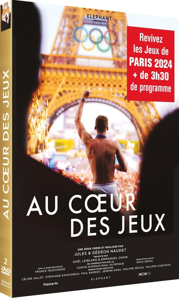 Au coeur du Louvre - Coffret - DVD Zone 2 - Achat & prix | fnac