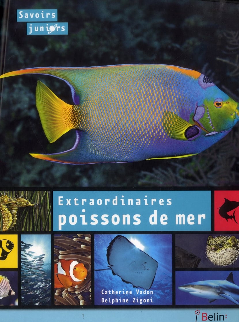 media/pim/TITELIVE/3_9782701175409_1_75.jpg
