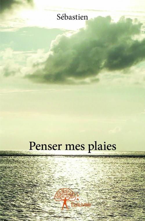 media/pim/TITELIVE/40_9782332911148_1_75.jpg