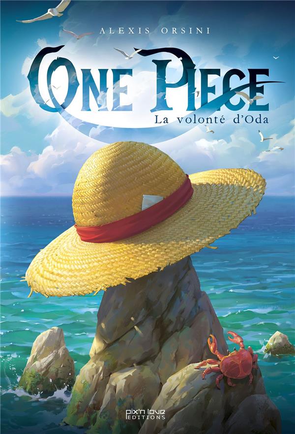 Classeur One Piece Le Chapeau de Paille