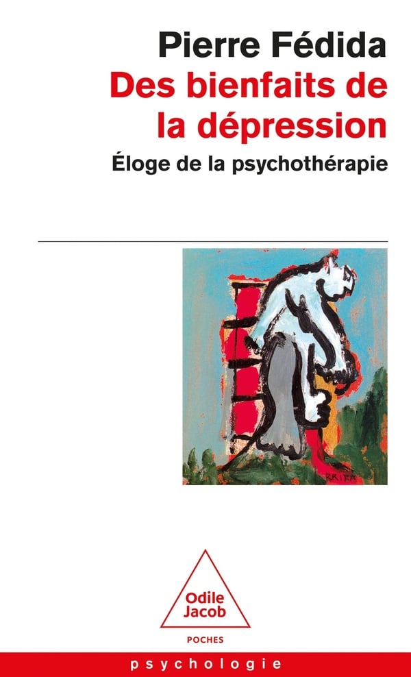 media/pim/TITELIVE/41_9782738112446_1_75.jpg
