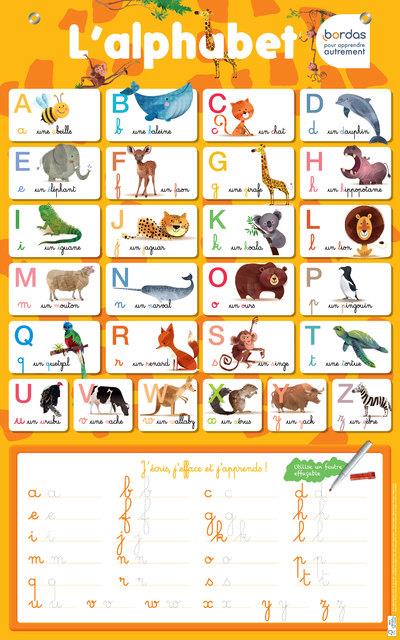 Les posters effaçables : l'alphabet - Livre primaire