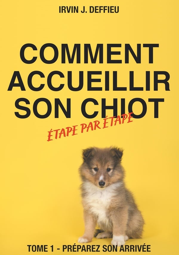 media/pim/TITELIVE/43_9782322210909_1_75.jpg