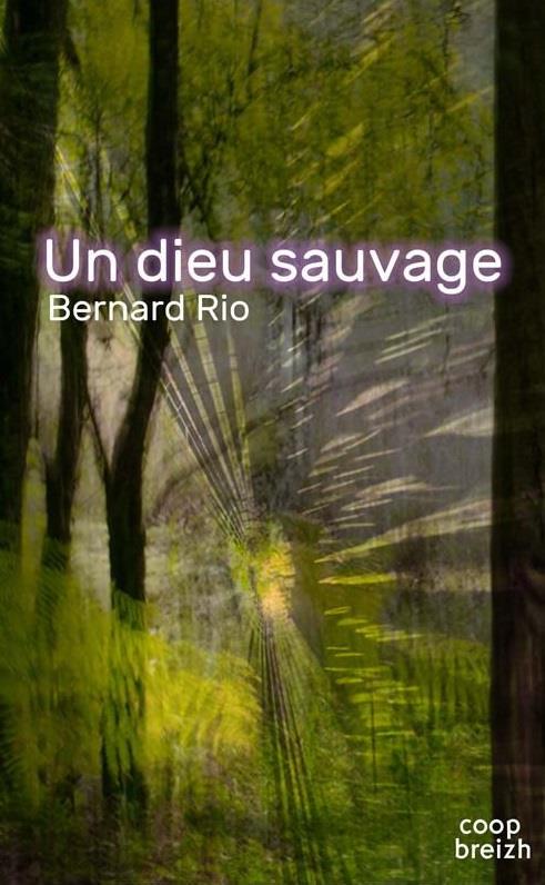 media/pim/TITELIVE/43_9782843468995_1_75.jpg