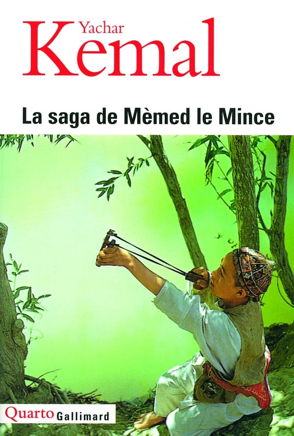 media/pim/TITELIVE/46_9782070132607_1_75.jpg