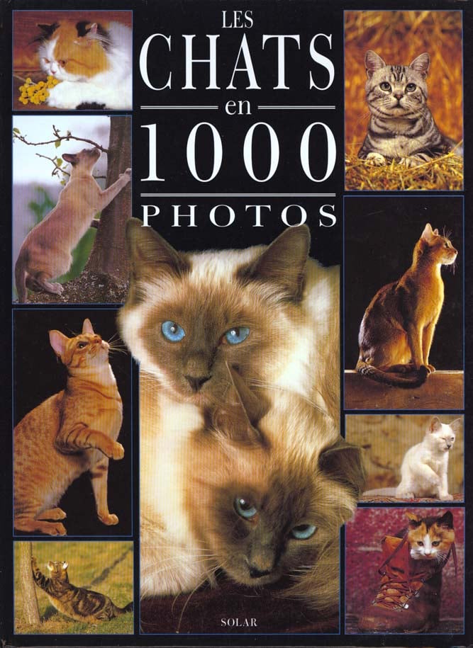 media/pim/TITELIVE/47_9782263029592_1_75.jpg