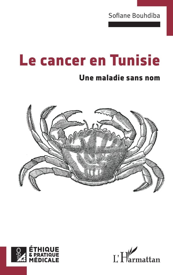 media/pim/TITELIVE/47_9782336548043_1_75.jpg