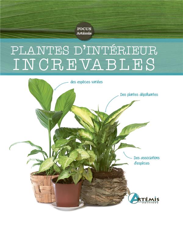 13 plantes d'intérieur increvables - Gamm vert