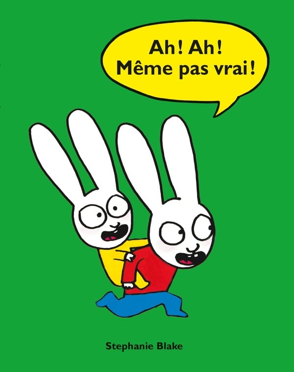 media/pim/TITELIVE/49_9782211330091_1_75.jpg