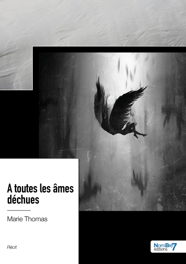 media/pim/TITELIVE/49_9782383514664_1_75.jpg