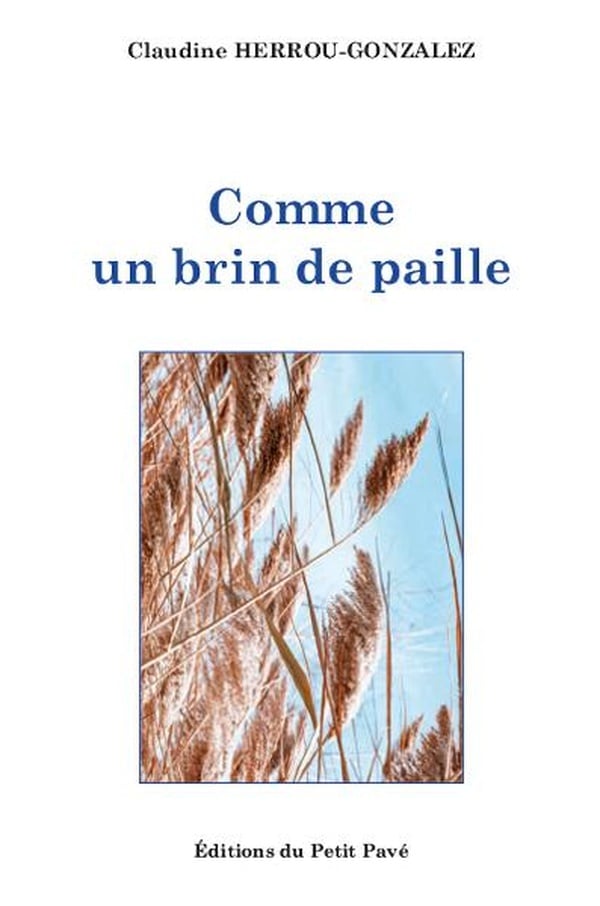 media/pim/TITELIVE/49_9782847127133_1_75.jpg