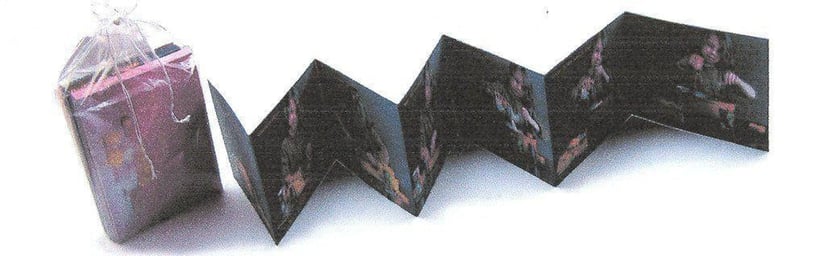 media/pim/TITELIVE/4_9782352550495_1_75.jpg