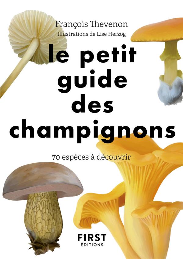 Le petit guide des champignons : 70 espèces à découvrir : Lise  Herzog,François Thévenon - 2412070210 - Livres Jardin - Nature