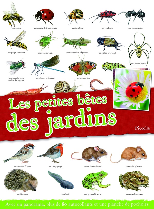 media/pim/TITELIVE/4_9782504212066_1_75.jpg