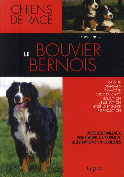 Bouviers Bernois : caractère, santé, éducation… - Boutique chien