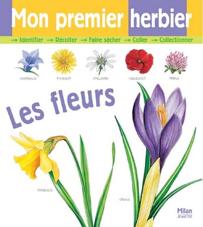 media/pim/TITELIVE/51_9782745920164_1_75.jpg