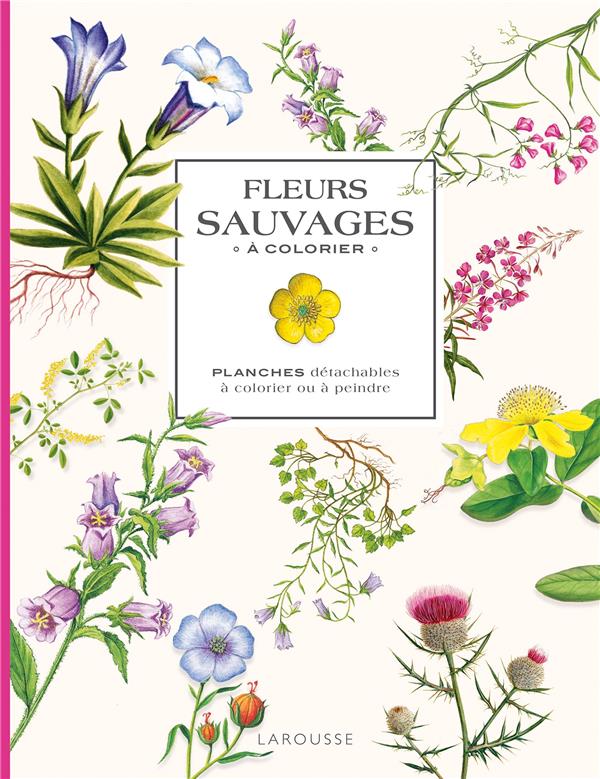Fleurs sauvages à colorier : Planches détachables à colorier ou à