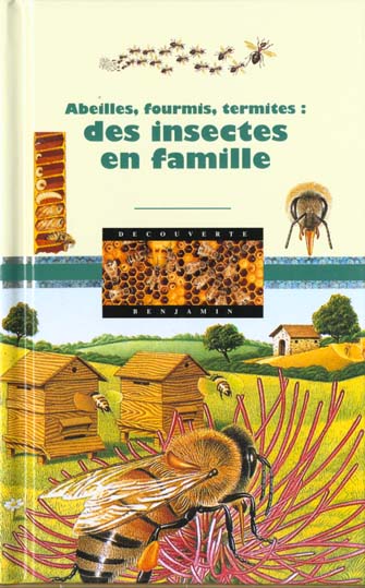 media/pim/TITELIVE/52_9782070504305_1_75.jpg