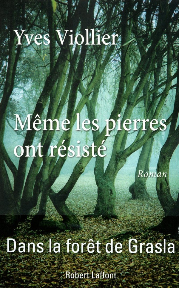 media/pim/TITELIVE/52_9782221132845_1_75.jpg