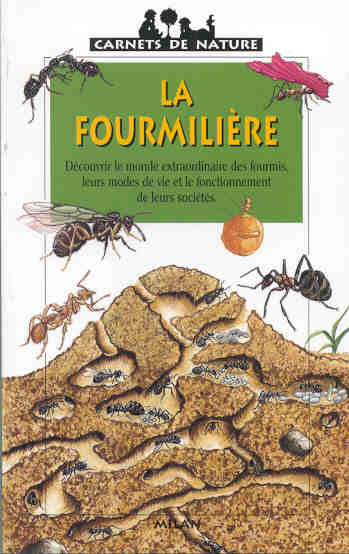 La fourmiliere : Luc Gomel,Anne Eydoux - 2745904035 - Livres pour enfants  dès 3 ans