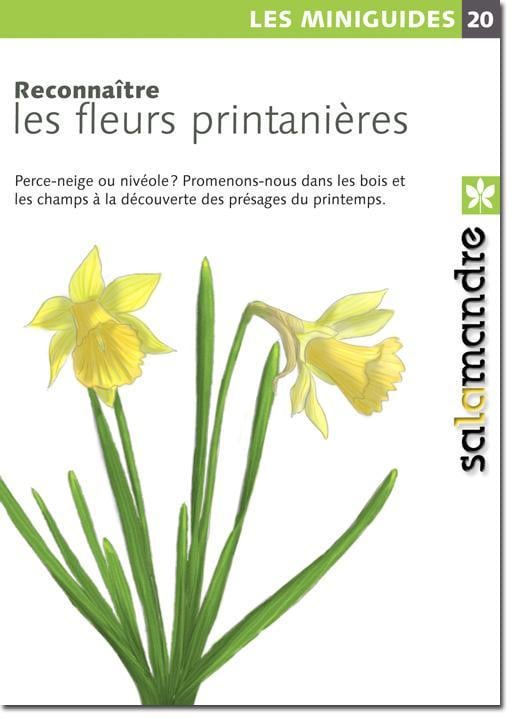 media/pim/TITELIVE/55_9782940460328_1_75.jpg