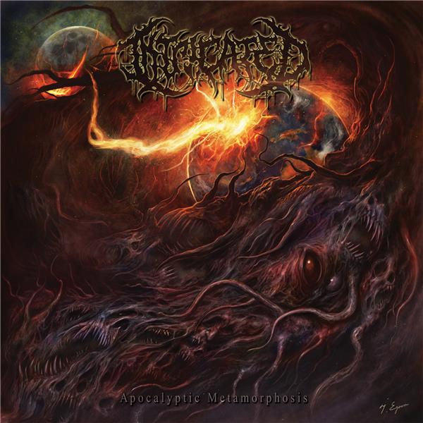 media/pim/TITELIVE/56_0827166529622.jpg