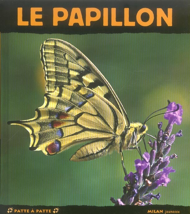 media/pim/TITELIVE/56_9782745920577_1_75.jpg