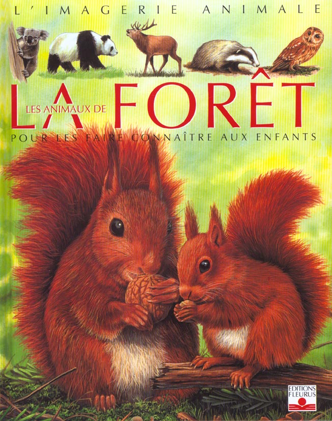 affiche enfant écureuil, affiche enfant animaux de la forêt