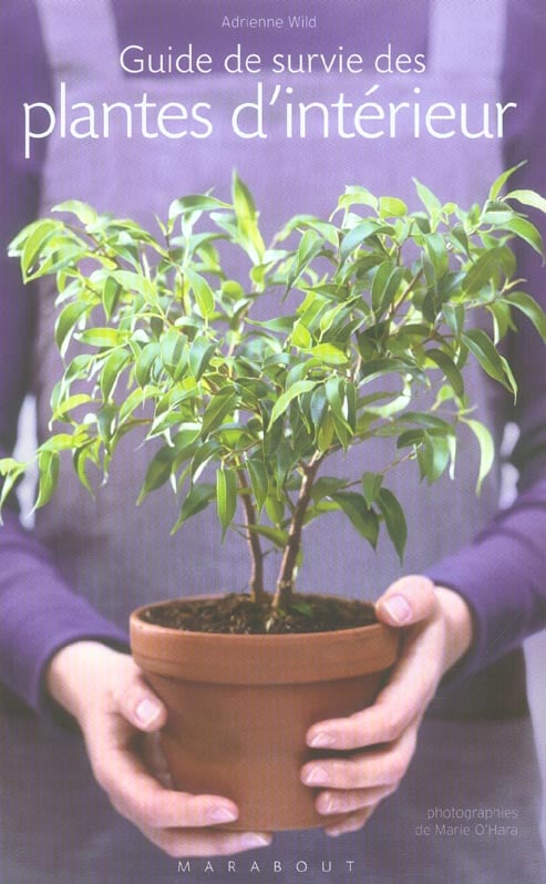 media/pim/TITELIVE/58_9782501041812_1_75.jpg