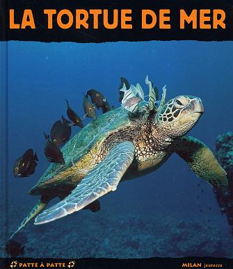 media/pim/TITELIVE/58_9782745908711_1_75.jpg
