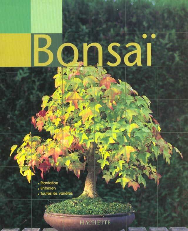 Plantation et entretien des bonsaïs