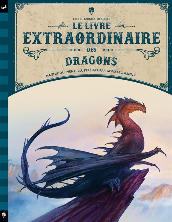 Dragons : un livre à toucher