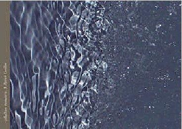 media/pim/TITELIVE/5_9782873172657_1_75.jpg