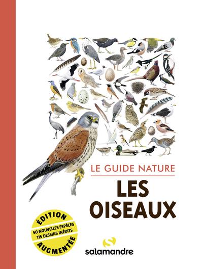 Carnet nature : tout savoir sur les plumes des oiseaux 