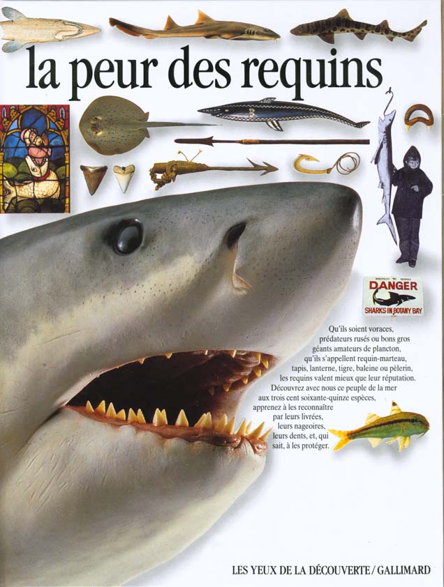 media/pim/TITELIVE/60_9782070567591_1_75.jpg