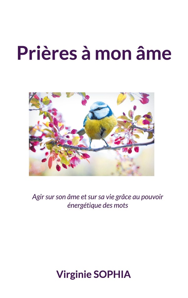 media/pim/TITELIVE/61_9782322504992_1_75.jpg