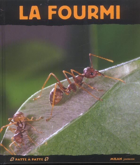 media/pim/TITELIVE/61_9782745915498_1_75.jpg