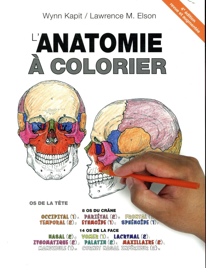 coloriage du dessin d'un livre - Tête à modeler