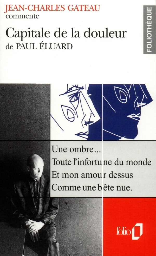 media/pim/TITELIVE/64_9782070386482_1_75.jpg