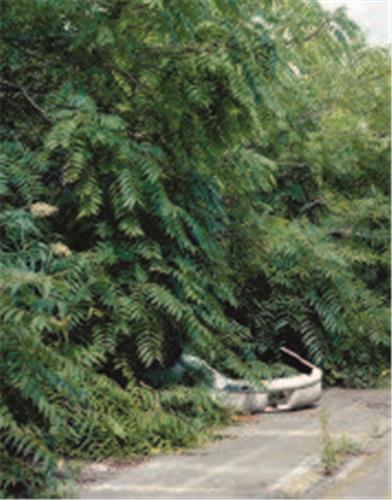 media/pim/TITELIVE/64_9783959054683_1_75.jpg