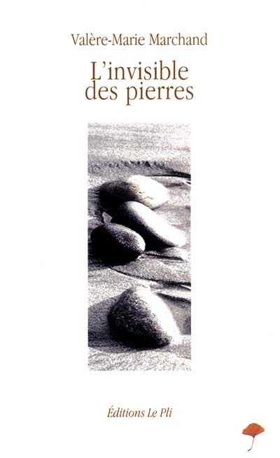 media/pim/TITELIVE/65_9782951595767_1_75.jpg