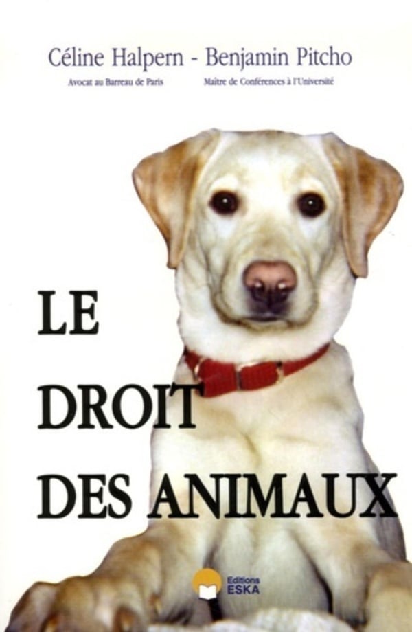 media/pim/TITELIVE/66_9782747209724_1_75.jpg