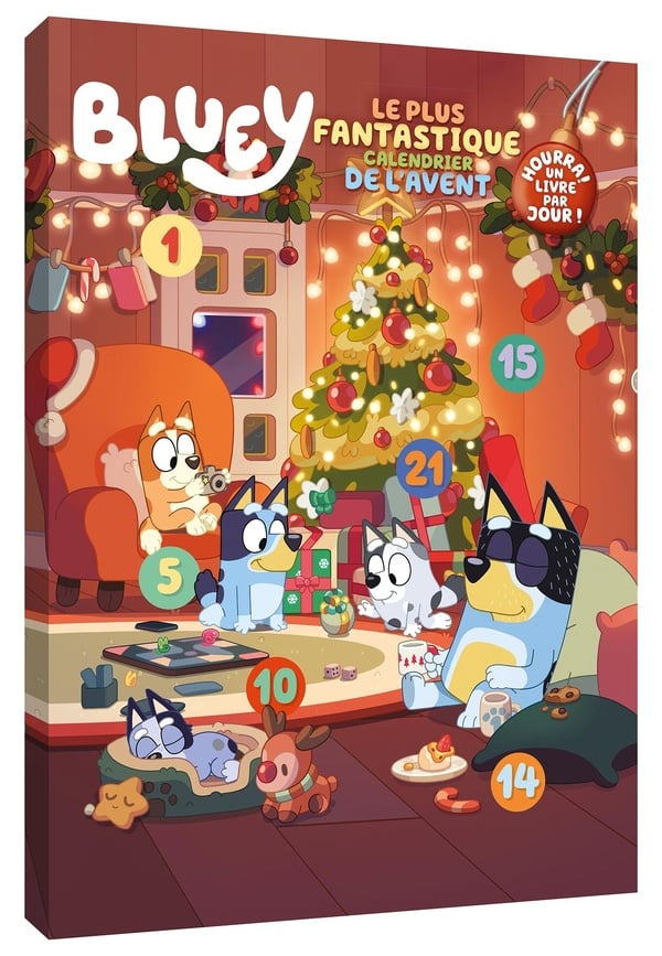 Calendrier De L'Avent Avent – Avec Pochettes Textiles, En Bon état, Pour Re-vivre La Magie De Noël