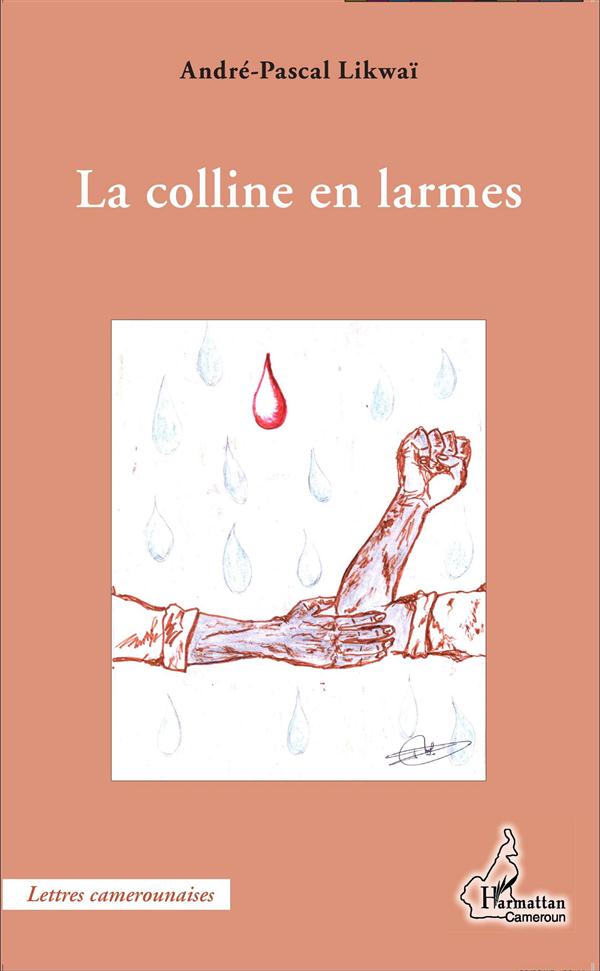 media/pim/TITELIVE/67_9782343056142_1_75.jpg