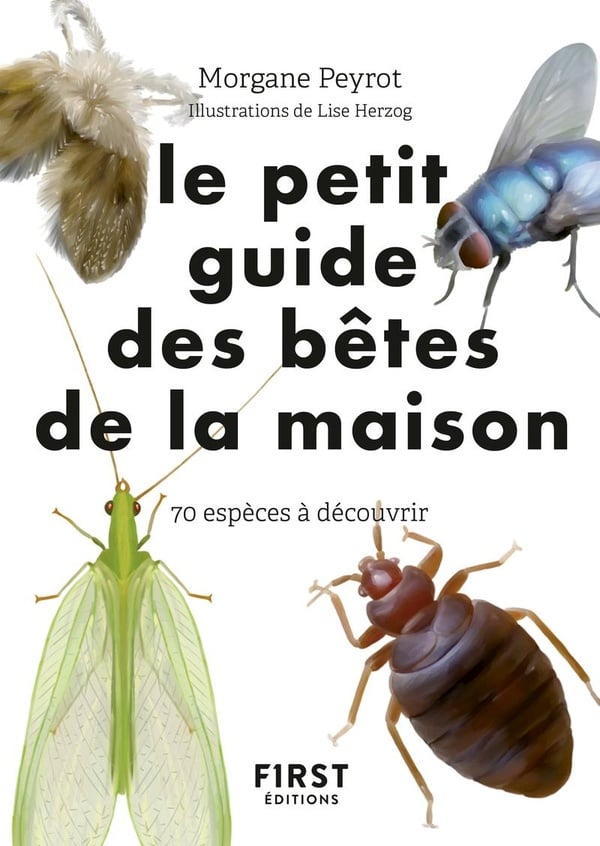 media/pim/TITELIVE/67_9782412081365_1_75.jpg
