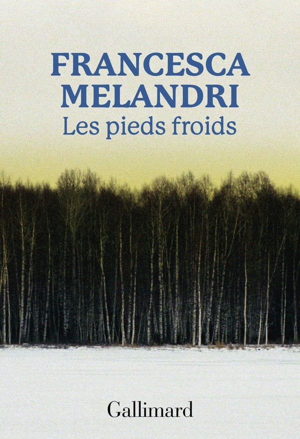 media/pim/TITELIVE/69_9782073119926_1_75.jpg