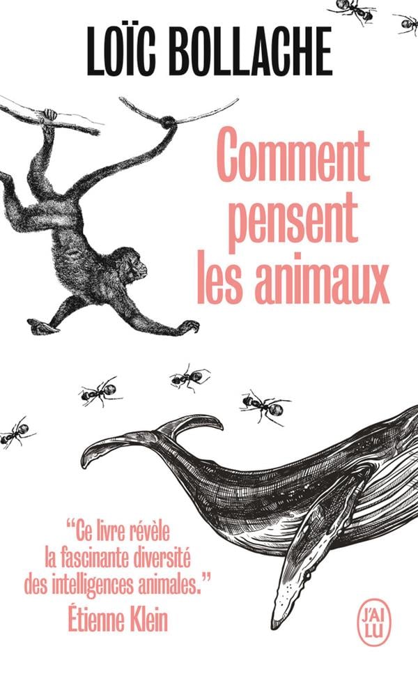 media/pim/TITELIVE/69_9782290249970_1_75.jpg