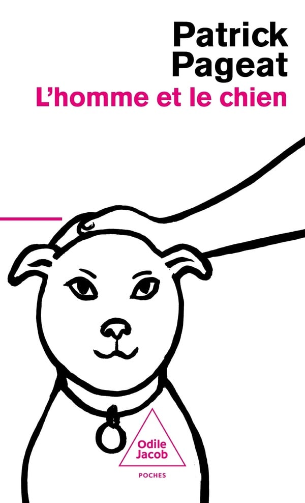 media/pim/TITELIVE/69_9782415012236_1_75.jpg